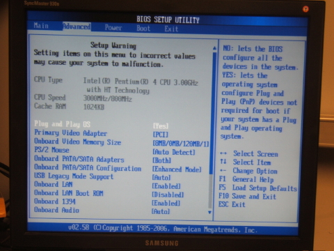 BIOS screen